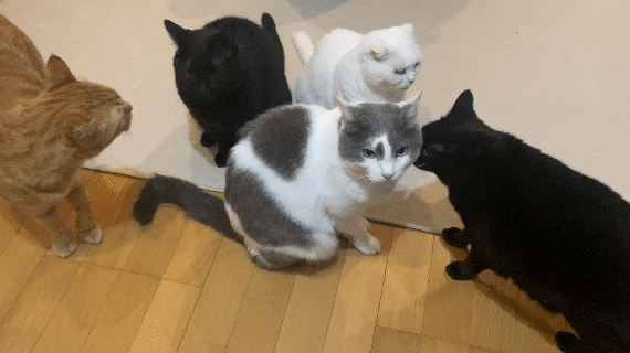 会議中です
