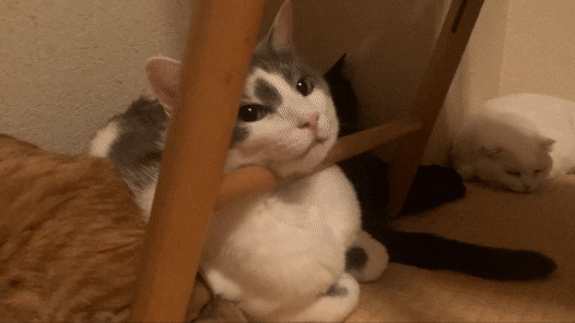 それは…楽なのかい？