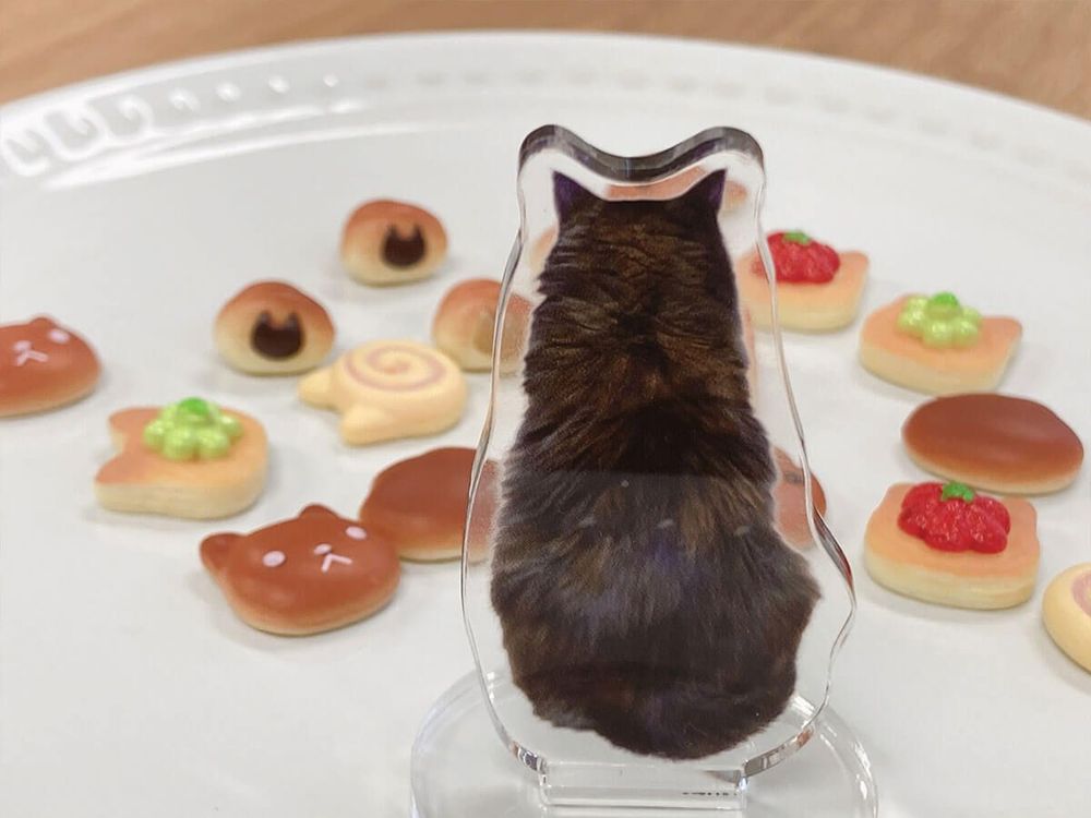 ごはーーーん♥