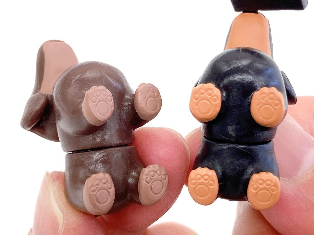 しっかり肉球はありますよ～♪