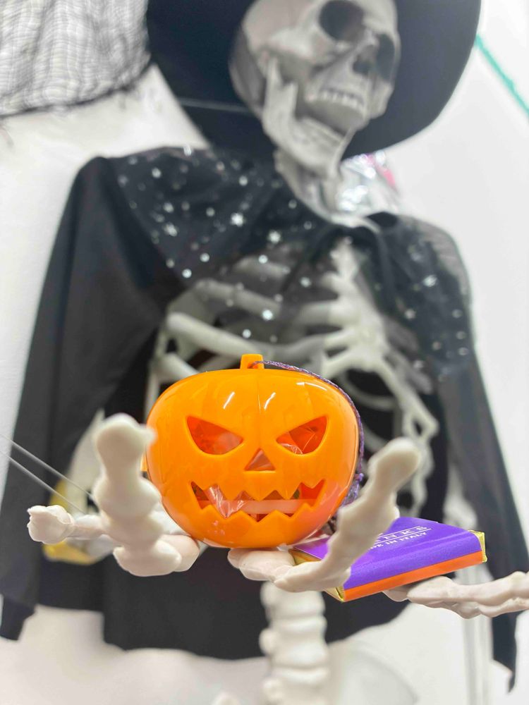 第67回 ハロウィンまでもう少し！お部屋を飾り付けてみませんか