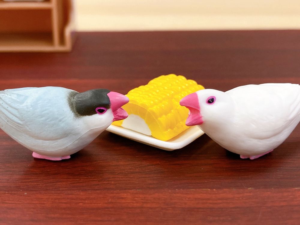 やんのかぁ！ゴルァｗ！！と言わんばかりのオコ顔です♪